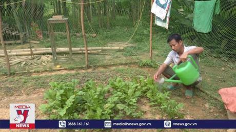 Nông dân khó khăn do chi phí phân bón tăng