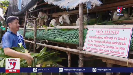 Sinh kế ứng phó với biến đổi khí hậu 