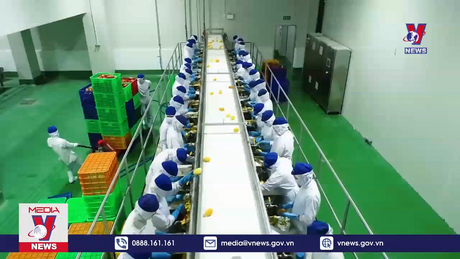 Bản tin Thời sự 21h ngày 22/11/2022