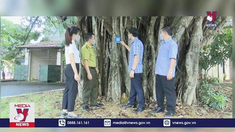 Thí điểm gắn mã QR CODE cho cây xanh