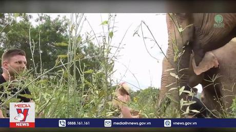 Các nước làm du lịch thân thiện với voi