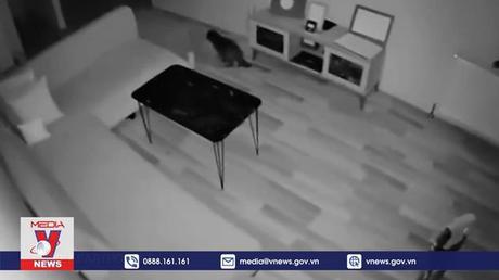 Hàng chục người bị thương trong động đất Thổ Nhĩ Kỳ