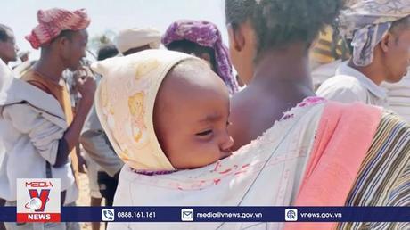 Cảnh báo nguy cơ biến đổi khí hậu khiến bệnh dịch thêm trầm trọng