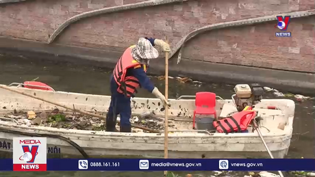 Hà Nội đánh tỉa cá hồ Tây làm thức ăn chăn nuôi