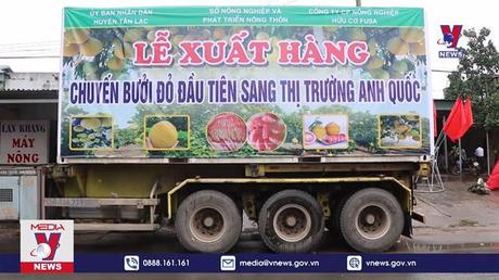 Xuất khẩu lô bưởi đỏ Tân Lạc đầu tiên sang Anh Quốc