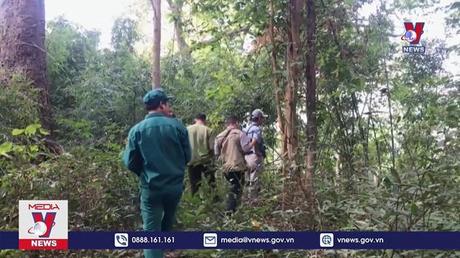  Hàng loạt nhân viên bảo vệ rừng tại Bình Thuận nghỉ việc