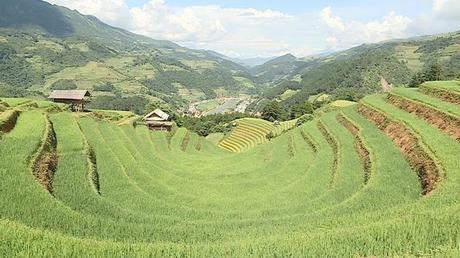 Hành trình Việt 224: Thiên đường ruộng bậc thang Mù Cang Chải