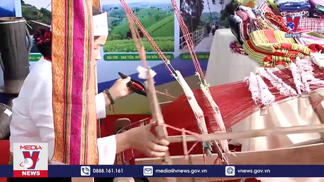 Bản tin Thời sự 6h ngày 24/11/2022