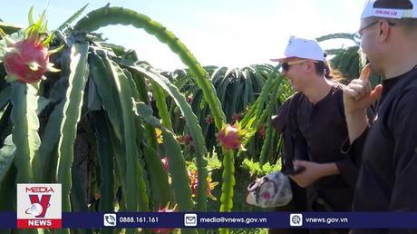 Bình Thuận đẩy mạnh phát triển du lịch về nông thôn