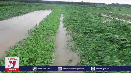 Hà Tĩnh khắc phục thiệt hại do mưa lớn