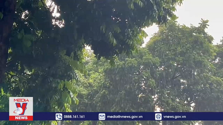 Có thể xuất hiện nhiều loại hình thiên tai 