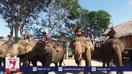 Phim tài liệu: Lễ truyền voi vùng Tây Nguyên