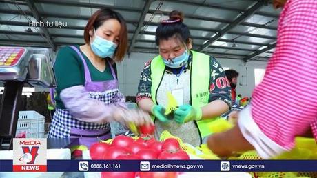 Trung Quốc phát triển thương mại điện tử xuyên biên giới