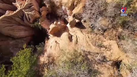 Cuộc sống xanh ngày 27/11/2022