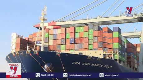 Bản tin thời sự 8h ngày 29/11/2022