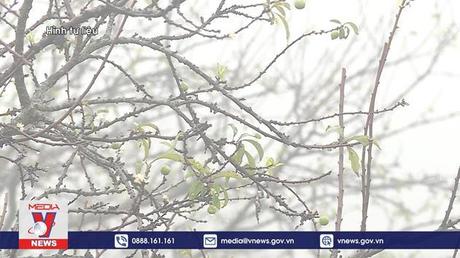 Không khí lạnh sắp tác động đến nước ta 