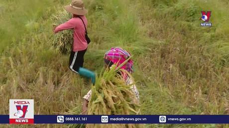 Không để vùng khó bị lùi lại phía sau