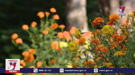 Thư chúc mừng nhân kỷ niệm 60 năm Vườn quốc gia Cúc Phương 