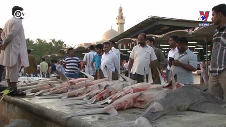 Đường dây nóng 389 ngày 30/11/2022