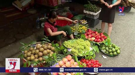 Rau quả Trung Quốc, Mỹ ồ ạt vào Việt Nam