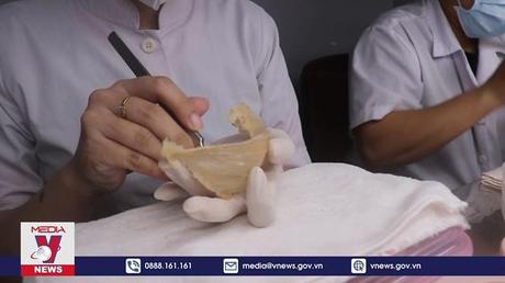 Sản lượng yến sào thu hoạch ở Kiên Giang tăng hơn năm ngoái