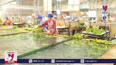 ”Điểm sáng” nông nghiệp công nghệ cao Bình Dương