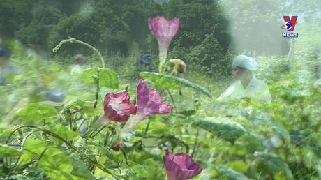 Nhật trình kinh tế ngày 01/12/2022