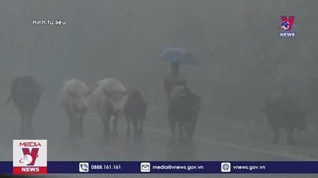 Chủ động ứng phó mưa rét