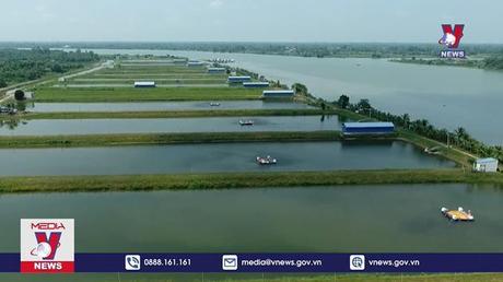 Lễ hội cá tra lần đầu tiên tổ chức tại Đồng Tháp 