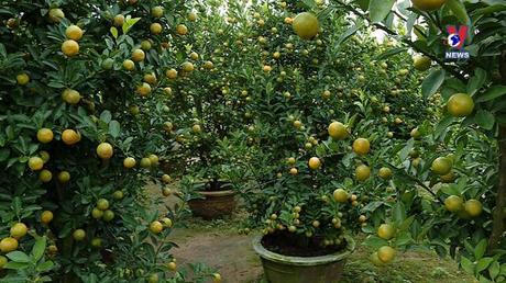 Nhật trình kinh tế ngày 03/12/2022