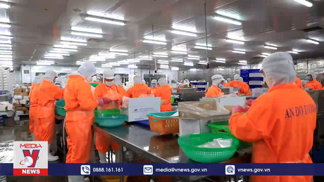 Xuất khẩu thủy sản Việt Nam đang gặp khó