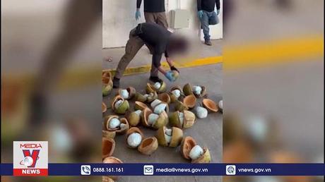 Mexico thu giữ gần 300kg chất gây nghiện fentanyl