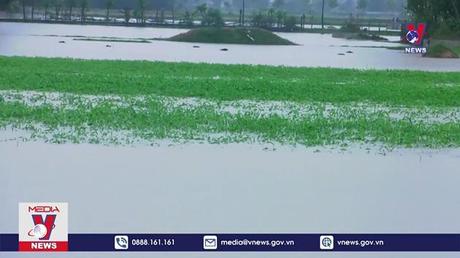 5 người thiệt mạng và mất tích do thiên tai