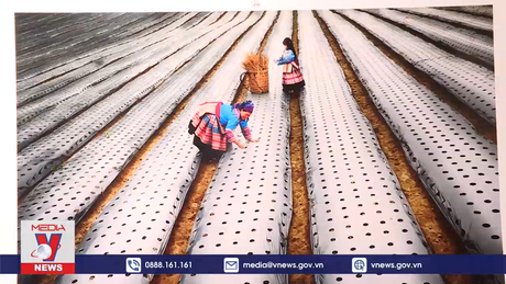 Trao giải cuộc thi Tự hào một dải biên cương