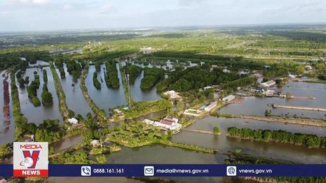 Gắn bảo hộ sở hữu trí tuệ với phát triển vùng Nam Bộ