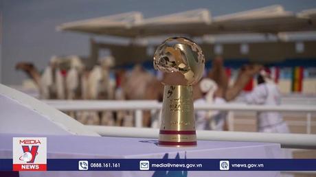 Cuộc thi 'Hoa hậu lạc đà' thu hút du khách bên lề World Cup