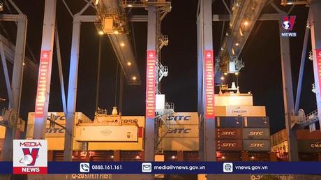 Lùi thời gian áp dụng danh mục hàng hoá xuất nhập khẩu Việt Nam