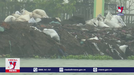 Cần sớm khắc phục tình trạng ô nhiễm môi trường do chế biến hải sản