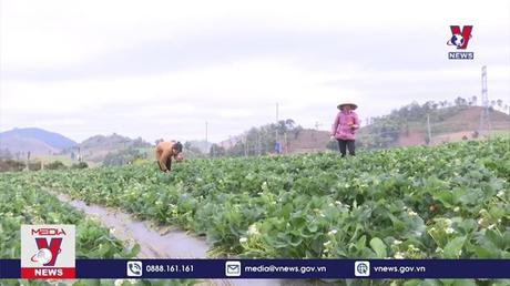 Bản tin thời sự 11h ngày 07/12/2022