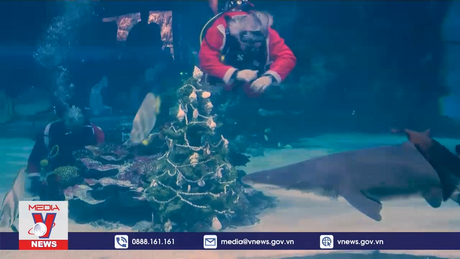 Giáng sinh trong Thế giới Thủy cung