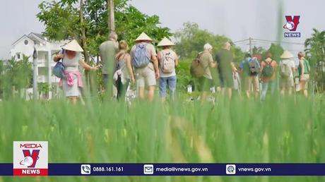 Lượng tìm kiếm về du lịch Việt Nam duy trì ở mức cao