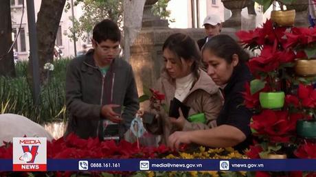 Hoa trạng nguyên khởi động mùa Giáng sinh tại thủ đô Mexico