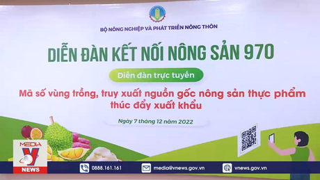 Có dấu hiệu gian lận mã vùng trồng