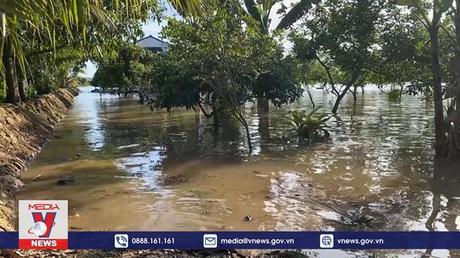 Tìm hướng khắc phục sạt lở bờ sông Cổ Chiên ở Vĩnh Long