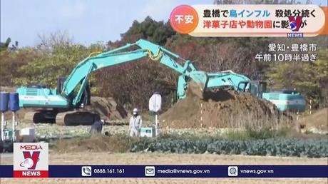 Dịch cúm gia cầm diễn biến phức tạp tại Nhật Bản