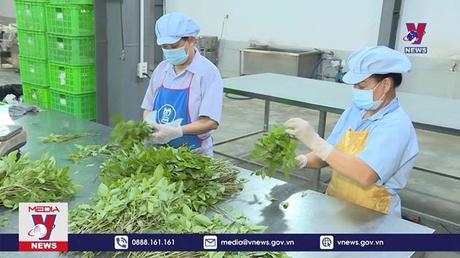 Bản tin thời sự 6h ngày 07/12/2022