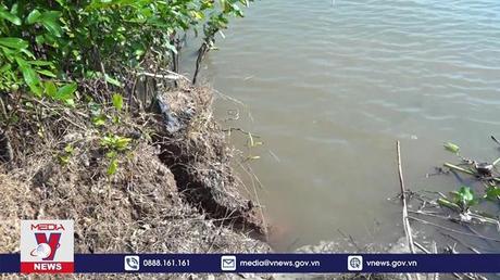Vĩnh Long công bố tình huống khẩn cấp sạt lở bờ sông Cổ Chiên