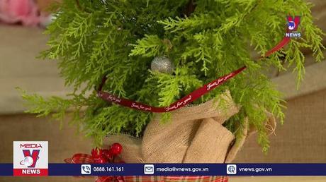 Cây thông tươi hút khách dịp Giáng sinh