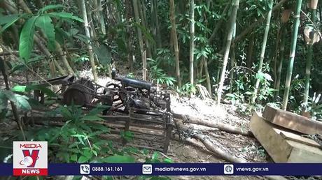 Diện tích rừng của Đắk Lắk bị suy giảm nghiêm trọng