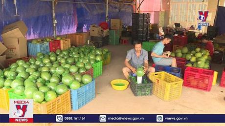 Bản tin thời sự 08h ngày 09/12/2022